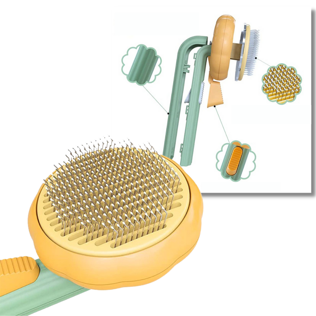 Self-cleaning pumpkin pet brush