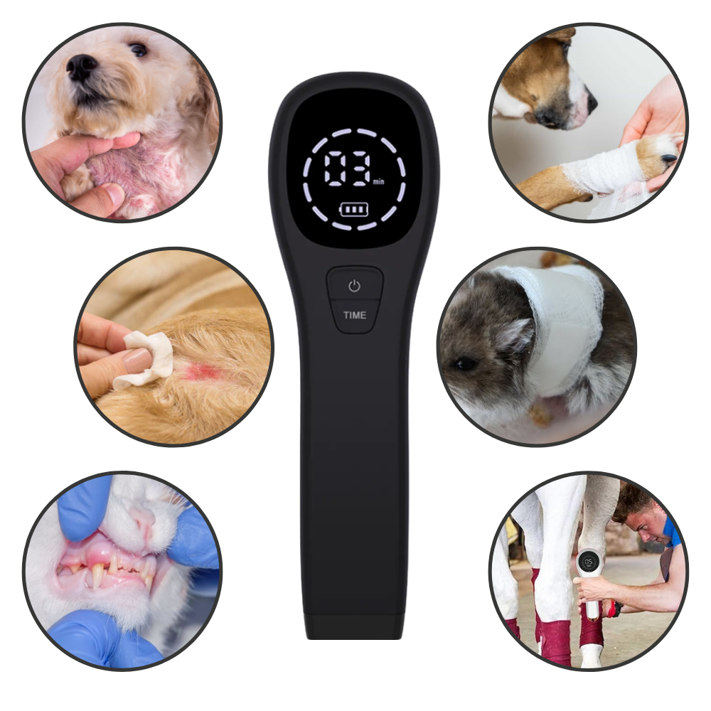  Handheld Infrared Therapy Device for Pet - Ozerty