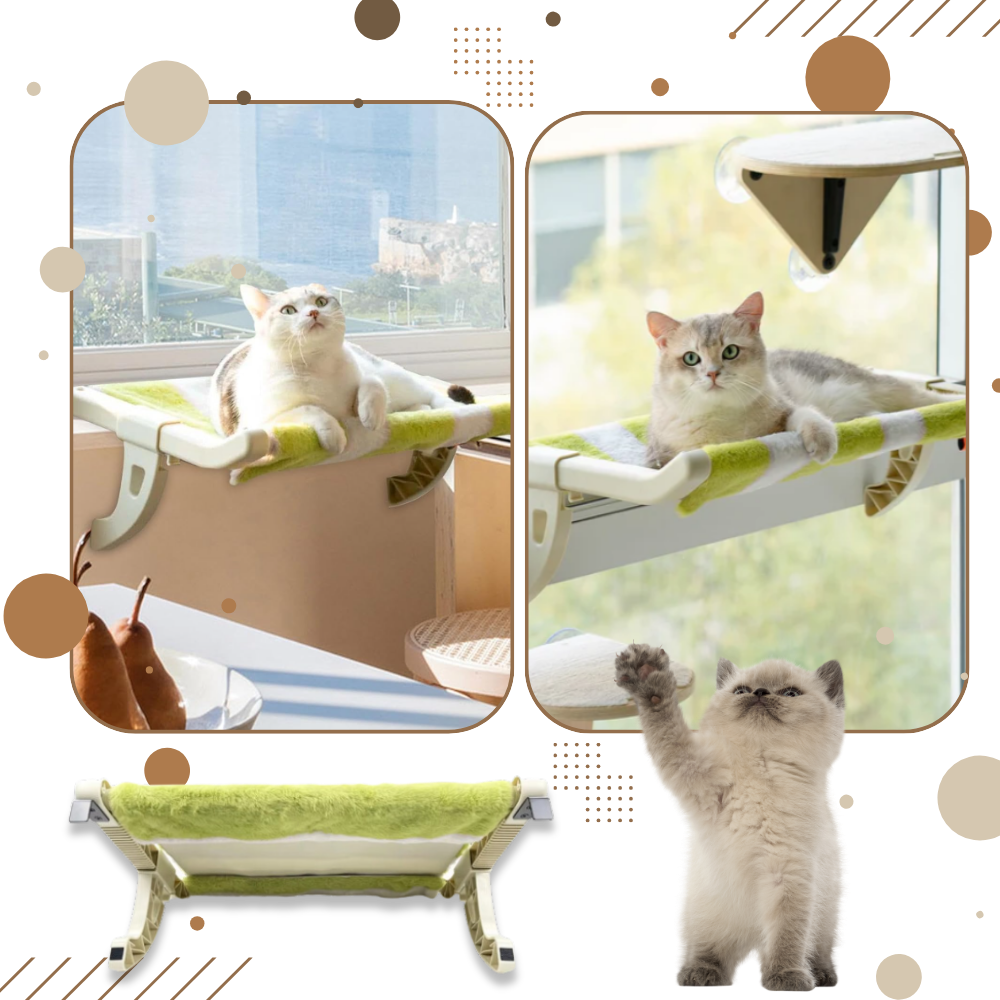 Tool-Free Cat Bed & Window Perch - Ozerty